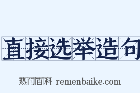 直接选举造句是什么意思的图片